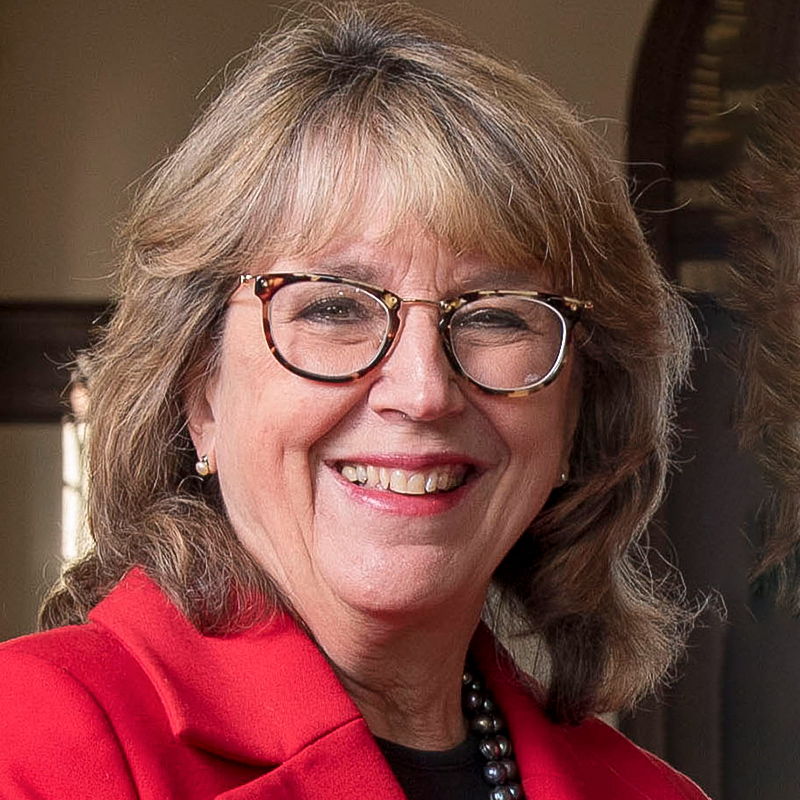 Prof. Dr.  Sally Reis