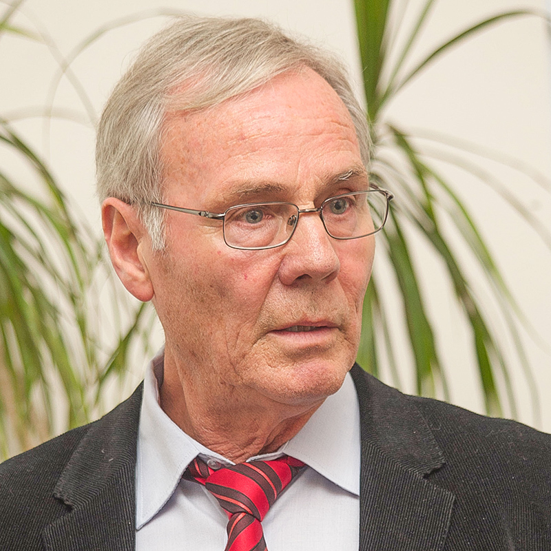 Prof. i.R. Dr. Willi  Stadelmann